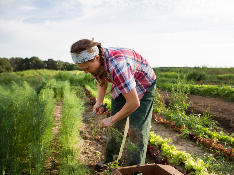 Self sufficient living